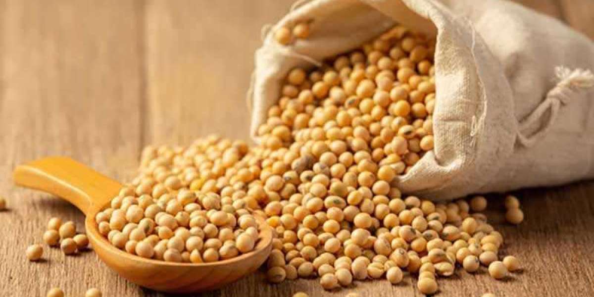 Men Can Benefit From Soy Products' Health Benefits.