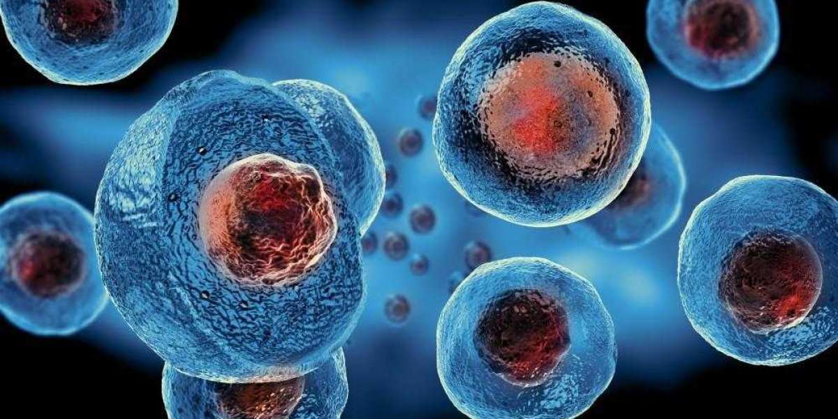 Healing from Within: The Rise of Stem Cell Therapy in Jericho