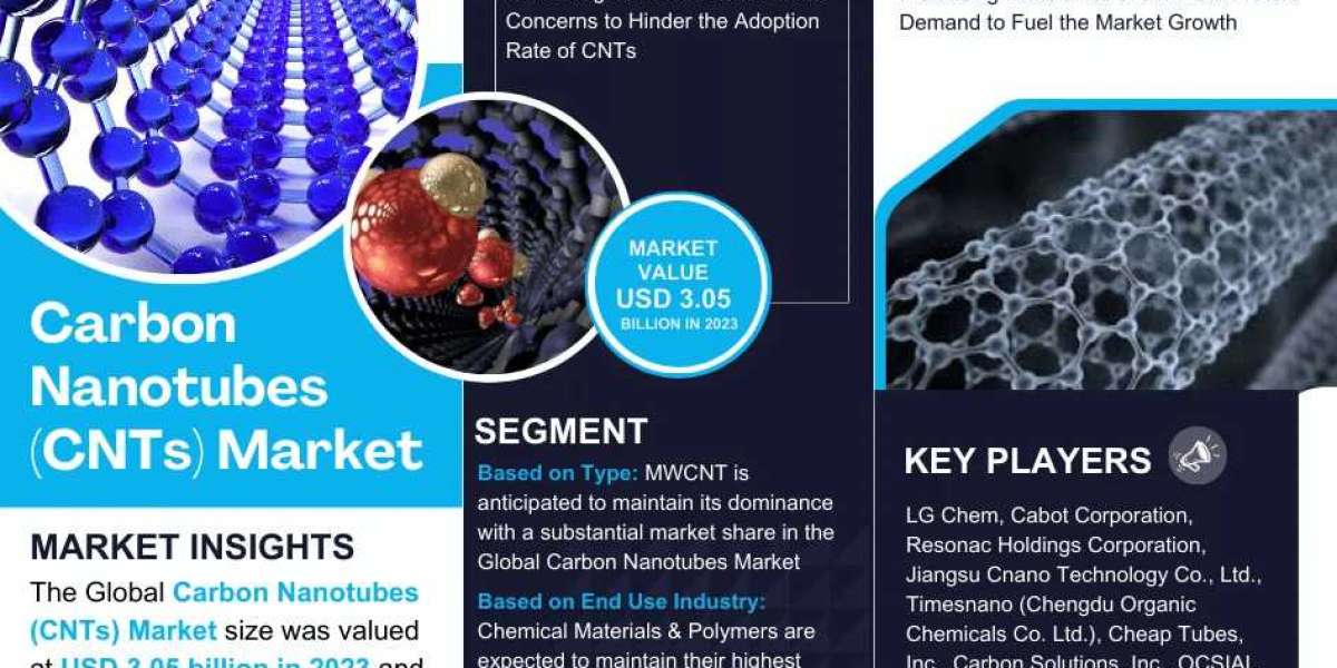 Carbon Nanotubes Market Size, Share Analysis 2024-2030 | Industry Insights