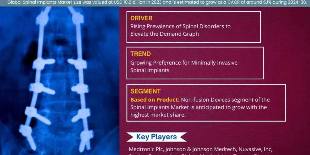 Spinal Implants Market Positioned for 6.1% CAGR Growth in Forecast Period