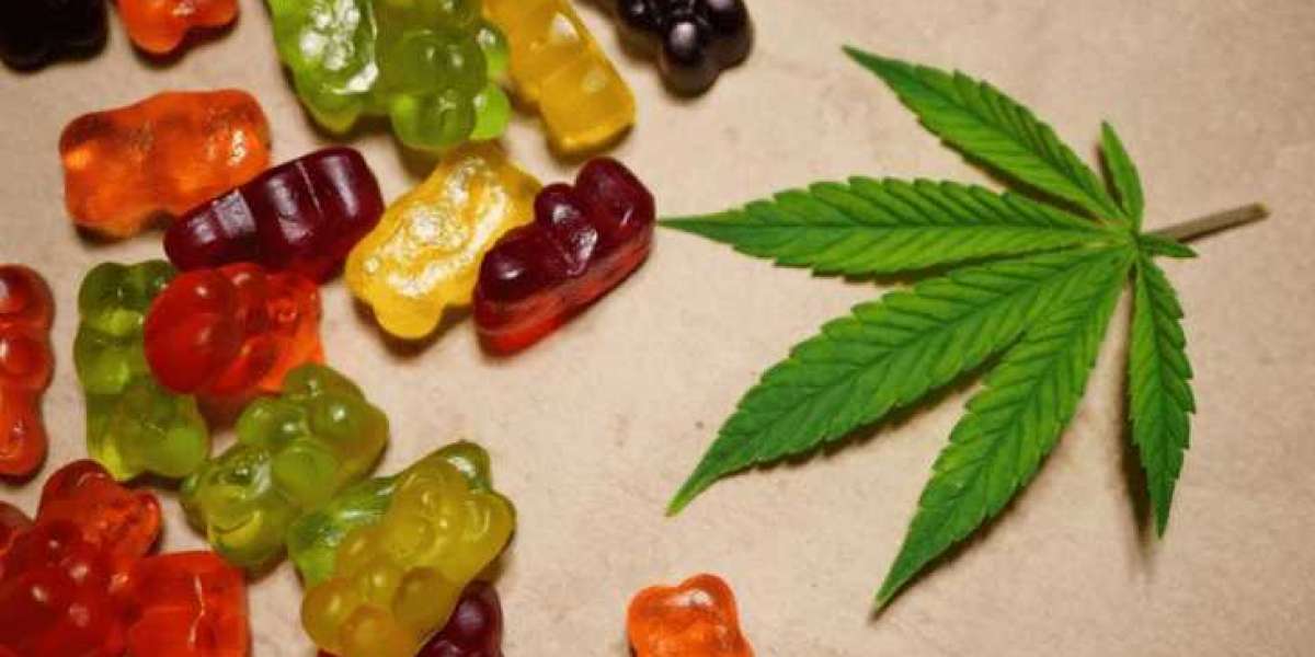 How Biocore CBD Gummies Can Enhance Your Wellness Routine in 2024