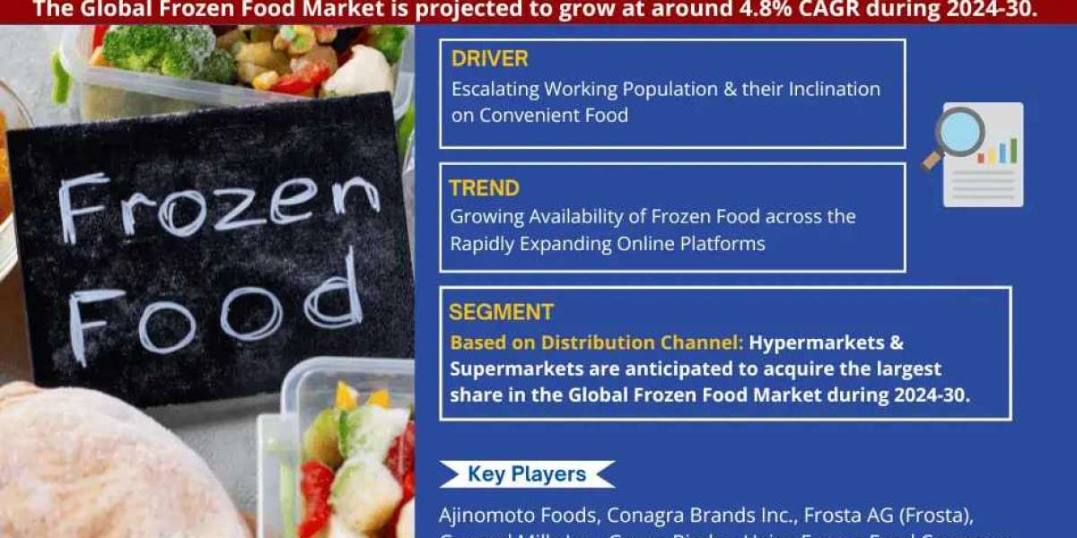 Frozen Food Market Gears Up for Impressive Growth Driven by 4.8% CAGR