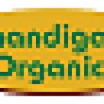 Chandigarh Organics