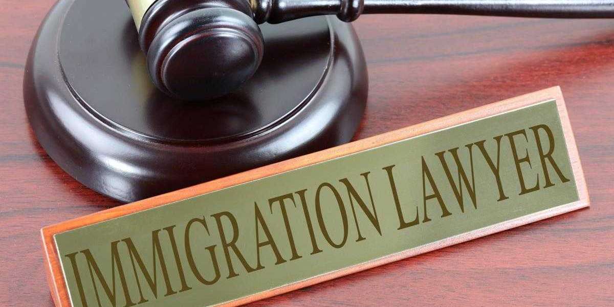 Expert Guidance: How Immigration Solicitors in Dublin Can Aid Your Legal Journey