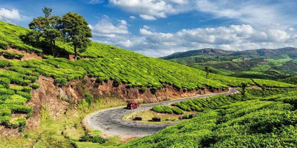 Extravagant Escapes: Curated Luxury Kerala Tour Packages