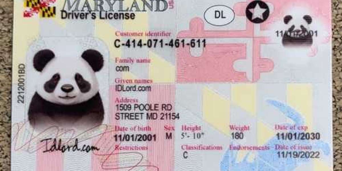 Crafting the Ultimate Fake Maryland ID A Comprehensive Guide