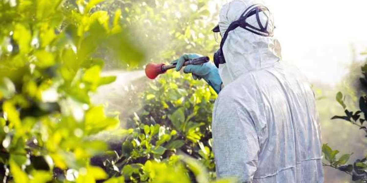 Pesticide Residue Testing Market Share, Size, Trend & Growth