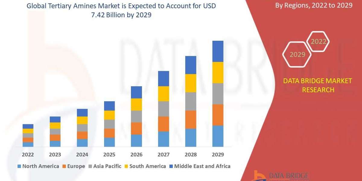 Tertiary Amines Market Size, Share, Trends, Industry Growth and Competitive Outlook