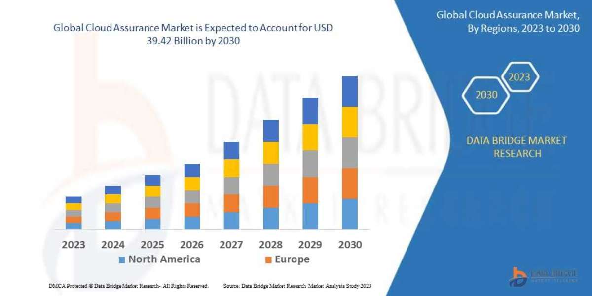 Cloud Assurance Market Size, Share, Trends, Growth and Competitive Outlook