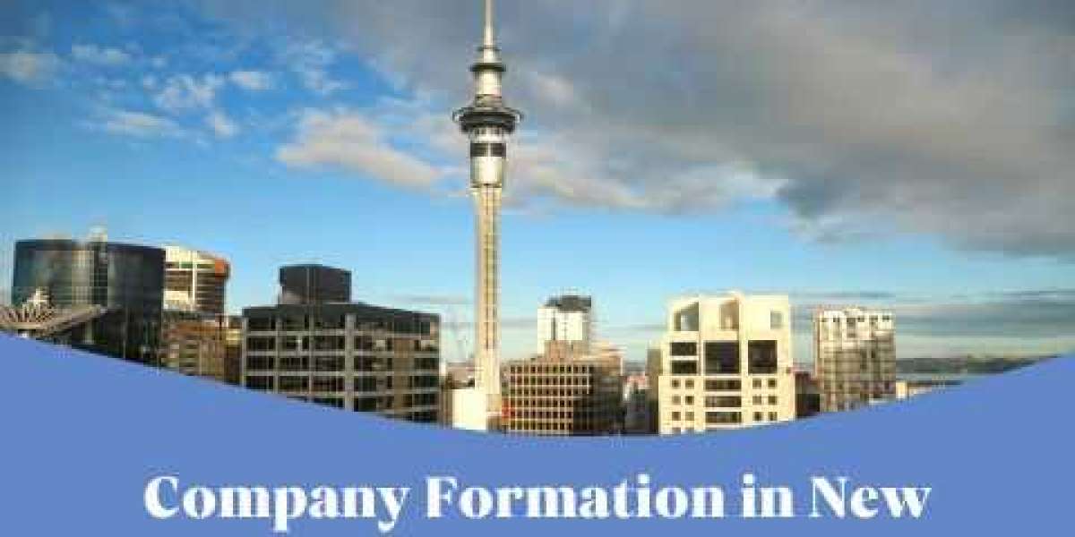 Steps to Register a Company in New Zealand