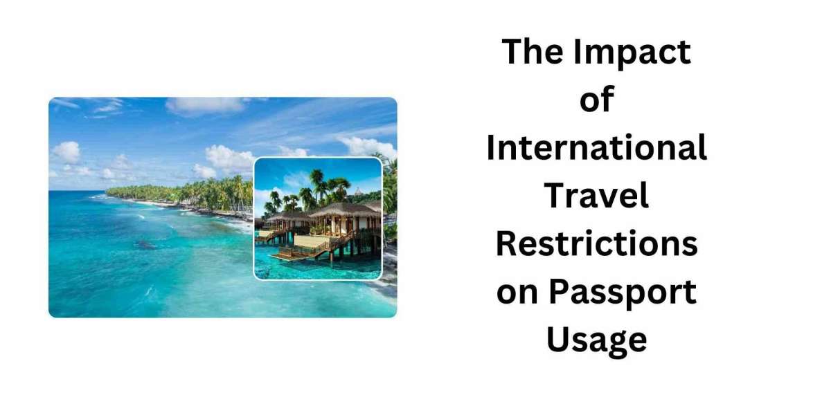 The Impact of International Travel Restrictions on Passport Usage