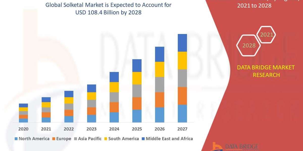 Solketal Market Size, Share, Key Drivers, Trends, Challenges and Competitive Analysis