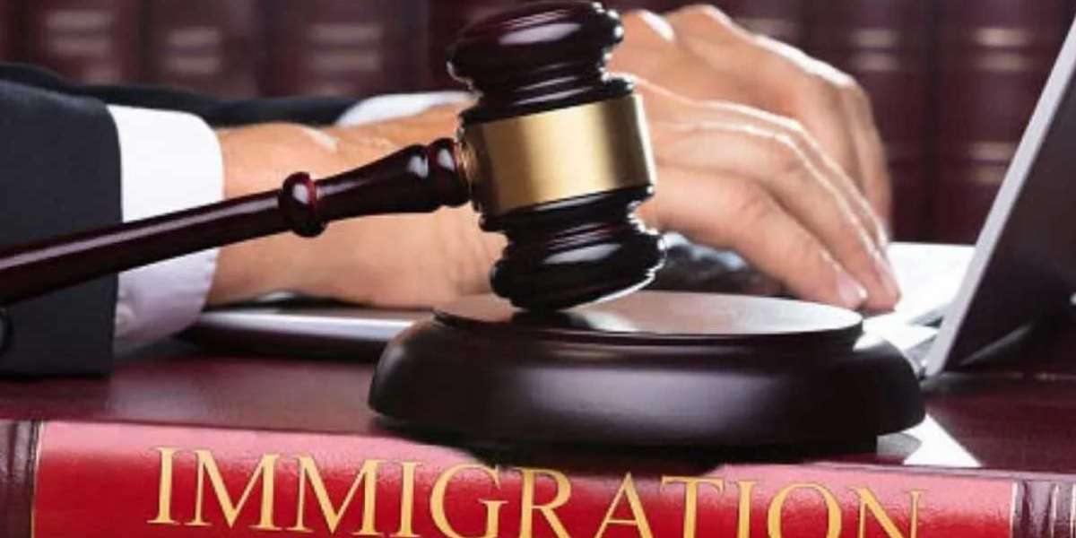 Finding the Right Immigration Law Firm in Downtown Toronto