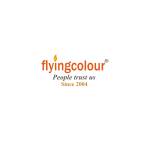 Flyingcolour Business setup