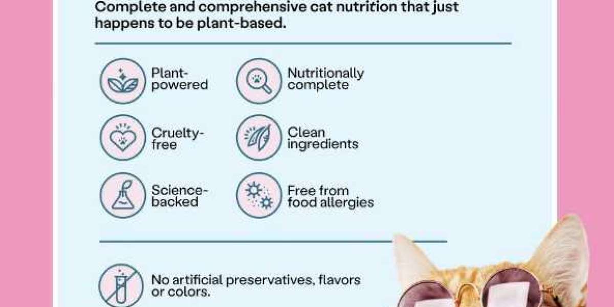 The Best Superfoods for Senior Pets