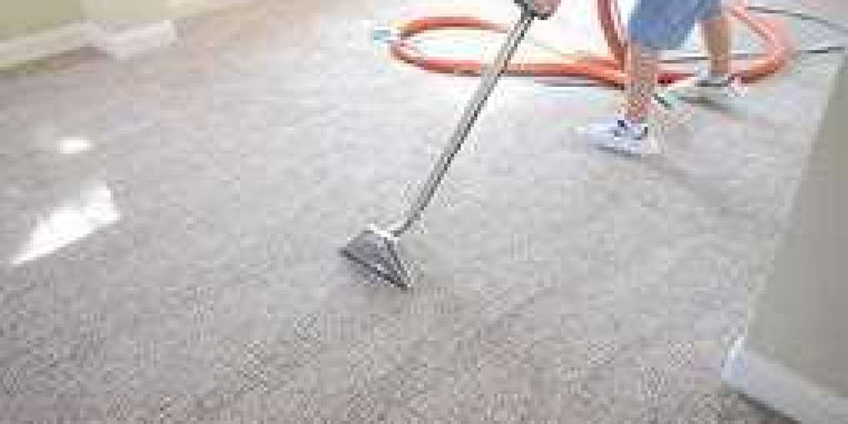 The Role of Carpet Cleaning in a Healthy Home Environment